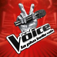 "The Voice" : Seul un vrai fan de l'émission a 10/10 à ce quiz