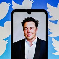 Twitter : Les revenus du réseau social se sont effondrés depuis son rachat par Elon Musk