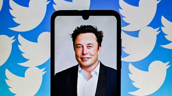 Twitter : Les revenus du réseau social se sont effondrés depuis son rachat par Elon Musk