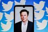 Twitter : Les revenus du réseau social se sont effondrés depuis son rachat par Elon Musk