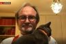 Cet expert de la BBC est constamment interrompu par ses chats