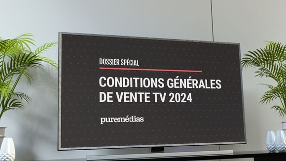 CGV TV 2024 : les stratégies des régies publicitaires des groupes TF1, M6, France Télévisions, Canal+ et Altice