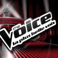 TF1 ouvre les castings pour son télé-crochet "The Voice"