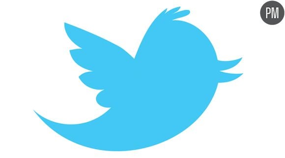 Logo Twitter.