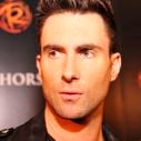 Adam Levine dans "American Horror Story" saison 2 ?