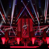 "The Voice" est l'émission de télé-réalité la plus lucrative