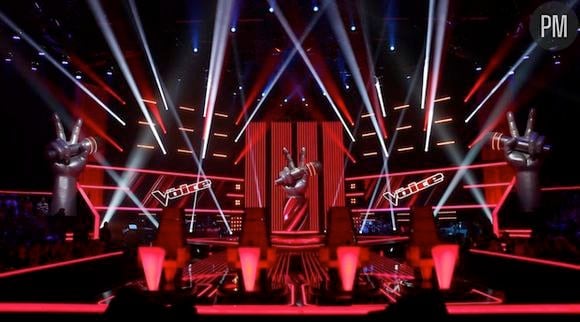 "The Voice, la plus belle voix" est l'émission de télé-réalité la plus lucrative