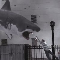 "Sharknado" : Une attaque de requins affole Twitter aux Etats-Unis