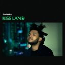 2. The Weeknd - "Kiss Land"