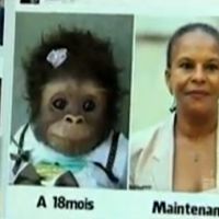 "Envoyé Spécial" : une candidate FN compare Christiane Taubira à un singe