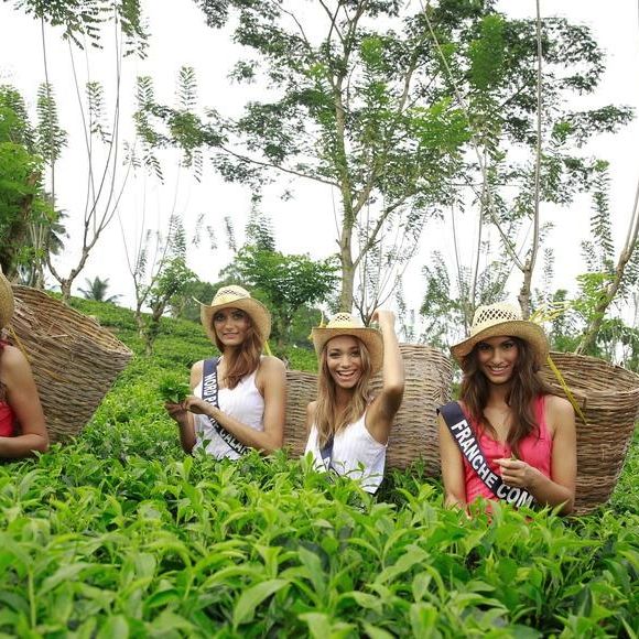 Qui sera la prochaine Miss France 2014 ?