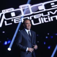 TV Notes 2014 : "The Voice", "L'amour est dans le pré", "Les Enfoirés", "L'Oeuf ou la poule", divertissements de l'année