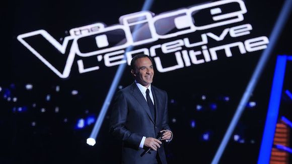 TV Notes 2014 : "The Voice", "L'amour est dans le pré", "Les Enfoirés", "L'Oeuf ou la poule", divertissements de l'année