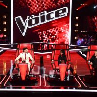 "The Voice" 2015, épisode 1 : "C'est bien fait pour ma gueule !"