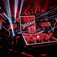 "The Voice" 2015, épisode 4 : "C'est une chanteuse bio"