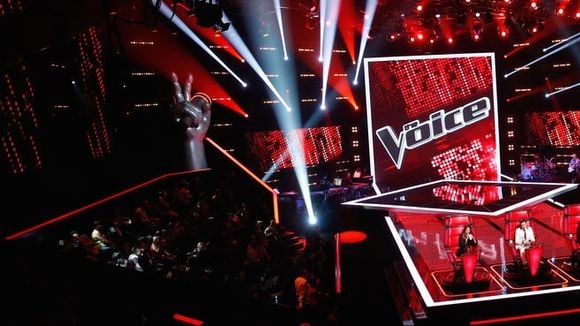 "The Voice" 2015, épisode 4 : "C'est une chanteuse bio"