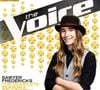 8. Sawyer Fredericks - "The Voice - The Complete Season 8 Collection"