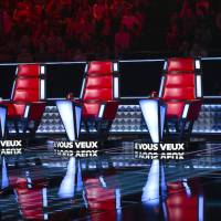 "The Voice" 2016, épisode 3 : "On n'est pas juges, on est coachs"