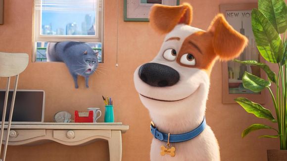 Box-office : "Comme des bêtes" repasse en tête un mois après sa sortie, "Star Trek" déçoit