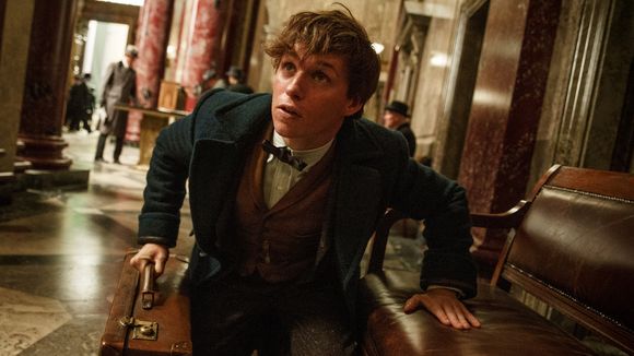 Box-office US : "Les Animaux fantastiques" moins puissant que "Harry Potter"
