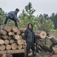 "The Walking Dead" renouvelée pour une saison 10