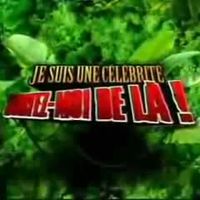 "Un jour, un générique" : "Je suis une célébrité, sortez-moi de là !" (2006)