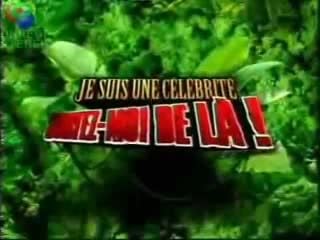 "Un jour, un générique" : "Je suis une célébrité, sortez-moi de là !" (2006)