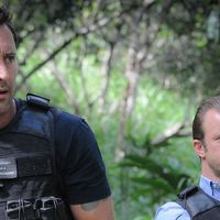 "Hawaii 5-0" : Pas de saison 11 pour la série, annulée au bout de 10 ans