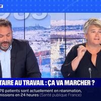 "Ca s'appelle une fake news !" : Bruce Toussaint recadre en direct une intervenante sur BFMTV