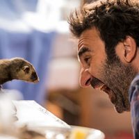 "Le furet" : Mathieu Madénian et Claire Keim dans une comédie inédite ce soir sur TF1