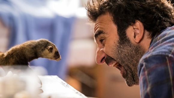 "Le furet" : Mathieu Madénian et Claire Keim dans une comédie inédite ce soir sur TF1