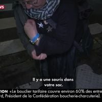 Un rat sort par surprise de la manche d'une femme interviewée sur CNews