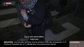 Un rat sort par surprise de la manche d&#039;une femme interviewée sur CNews