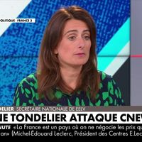 CNews : Marine Tondelier (EELV) dénonce la "stratégie Bolloré", Pascal Praud s'insurge