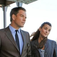 "NCIS" : Paramount+ va lancer un spin-off de la série culte, Cote de Pablo et Michael Weatherly de retour