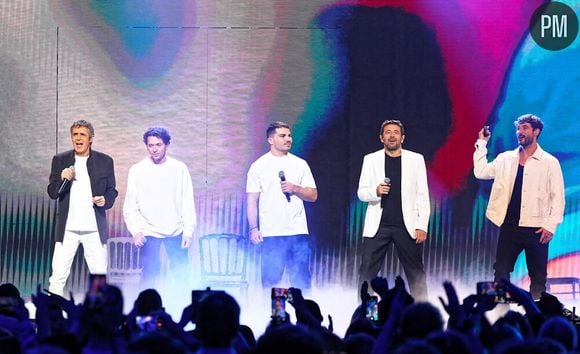 Julien Clerc, Raphaël, Antoine Dupond, Patrick Bruel et Jérémy Frérot lors des "Enfoirés 2024" à Bordeaux.