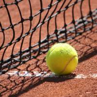 Audiences : Roland Garros réunit 11% du public