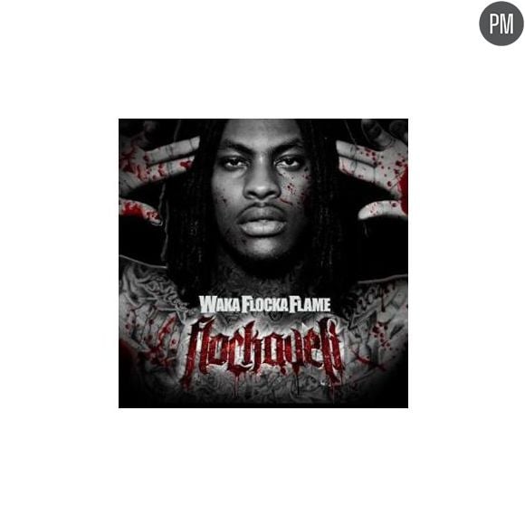 Pochette : Flockaveli (Explicit)