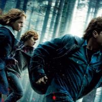 Box-Office : "Harry Potter" cartonne, "Les Petits mouchoirs" succès n°1 de l'année