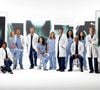 Grey's Anatomy, qui a perdu près de 40% de son audience en un an et qui peine aujourd'hui à fédérer plus de 11 millions d'américains.