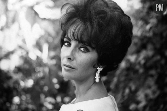 Elizabeth Taylor en 1956.