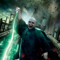 11 nouvelles affiches pour le dernier "Harry Potter"