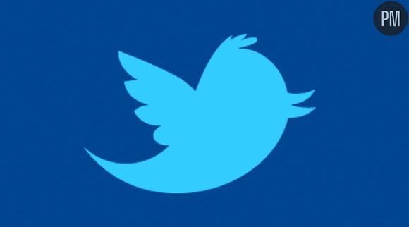 logo twitter.