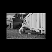 Bande-annonce : "Frankenweenie", l'enfance de Frankenstein en noir et blanc par Tim Burton