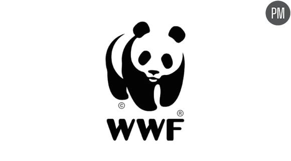 WWF