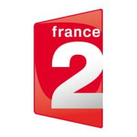 Ces (nombreux) animateurs approchés pour le nouveau magazine culturel de France 2...