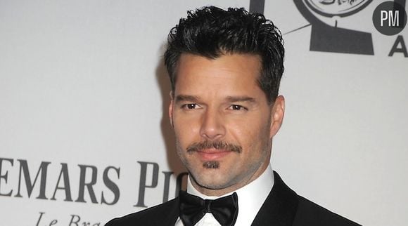 Ricky Martin aura sa propre série télévisée dans laquelle il tiendra le rôle principal