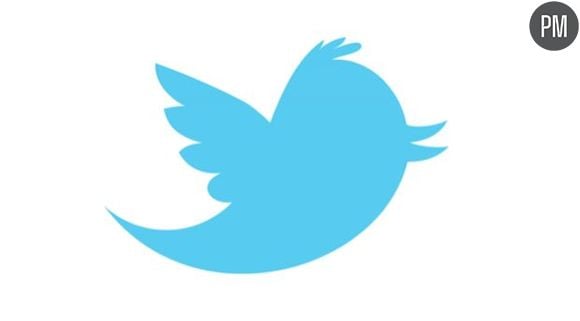 200 millions de personnes utilisent le réseau social Twitter.