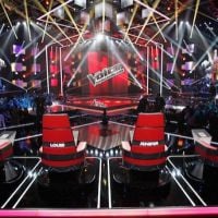 "The Voice, la plus belle voix" revient le 2 février sur TF1