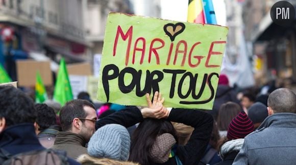 Manifestation en faveur du mariage pour tous, le samedi 26 janvier à Lyon.